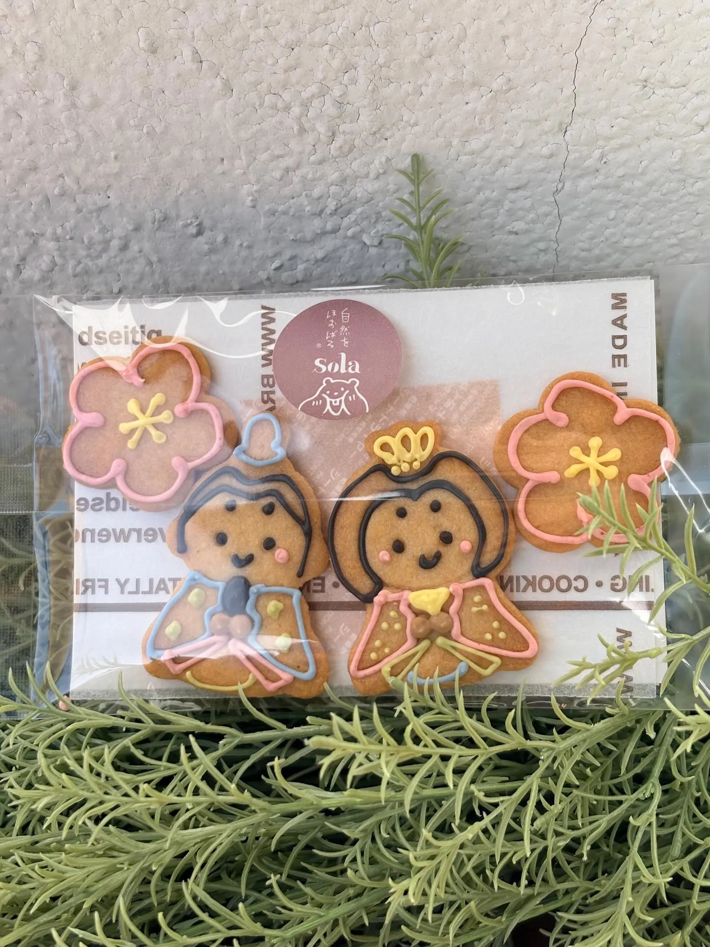 国産小麦のお絵かきクッキー