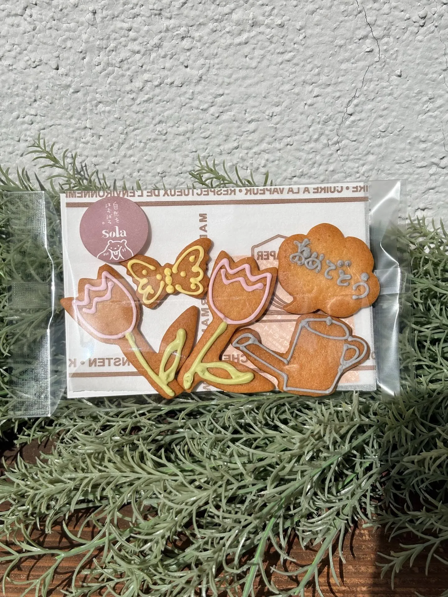 国産小麦のお絵かきクッキー