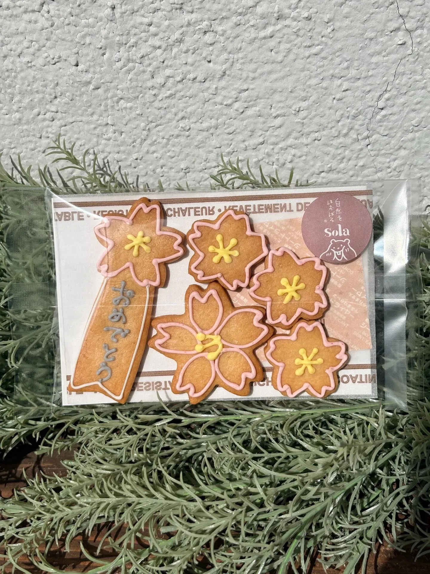 国産小麦のお絵かきクッキー