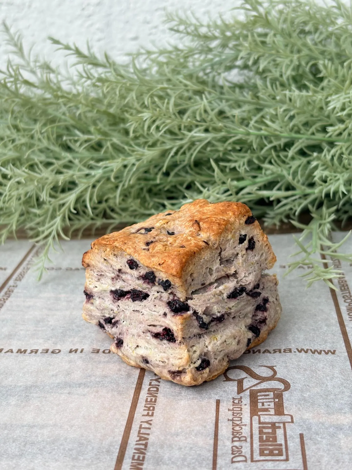 ブルーベリーミルクビスケット