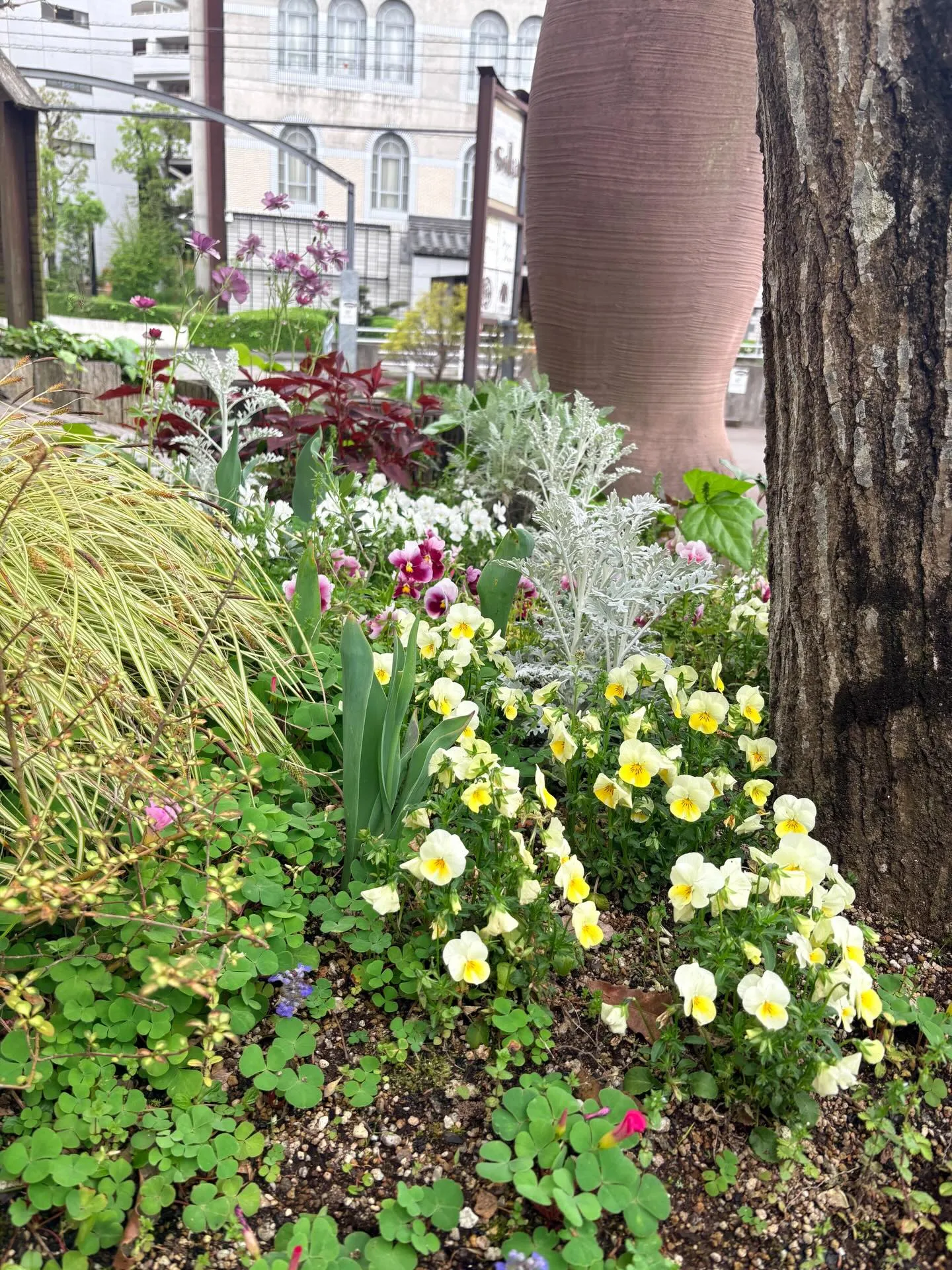 庭の草花達も、カラフルに咲き始めました。
