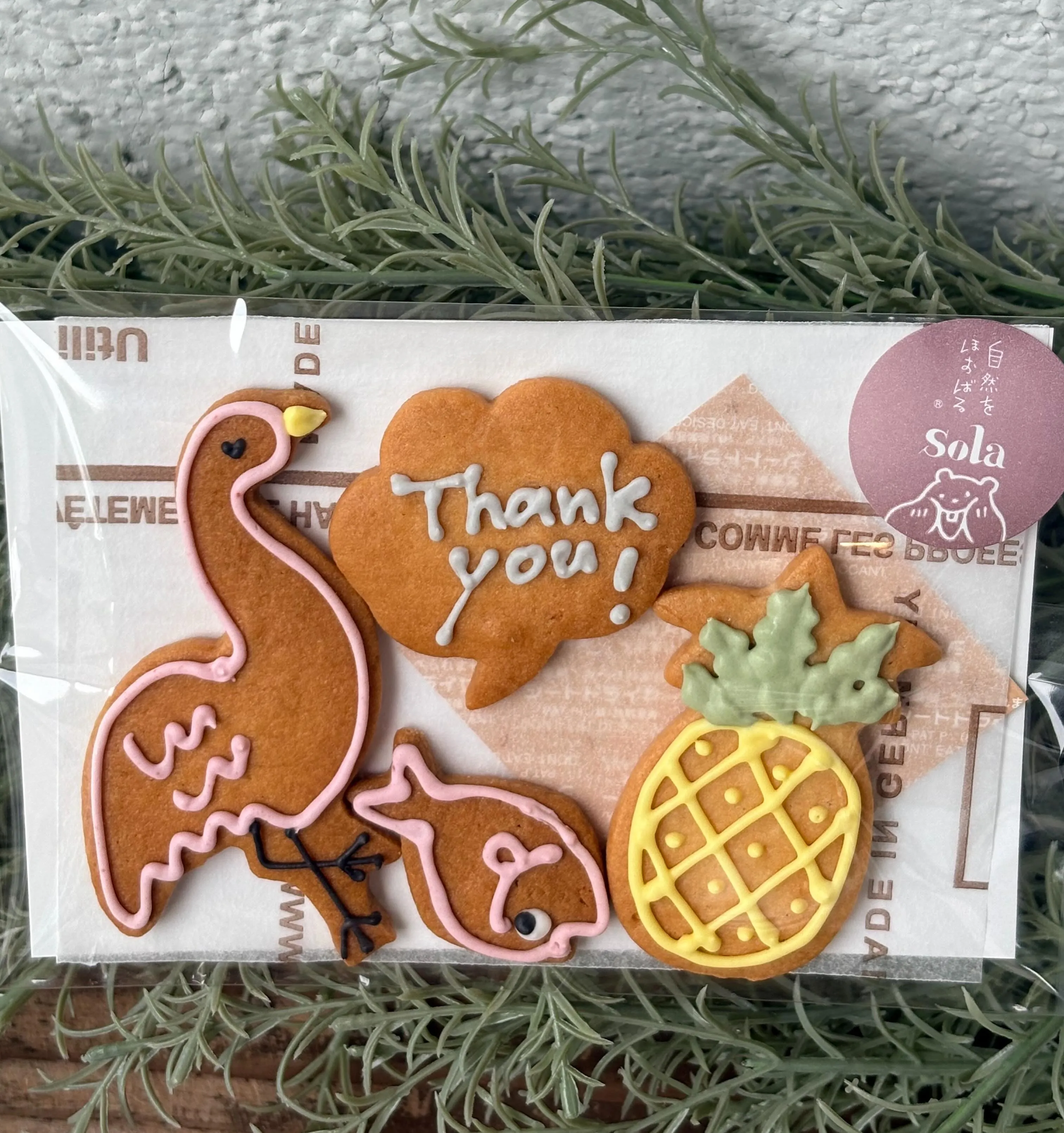 国産小麦のお絵かきクッキー