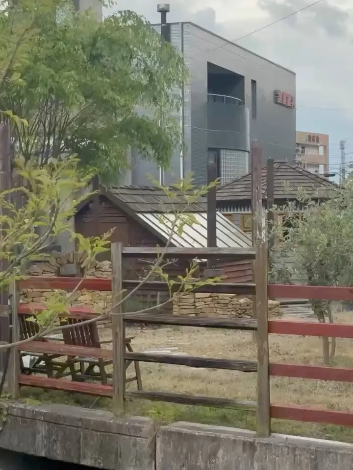 庭の草花達も、カラフルに咲き始めました。